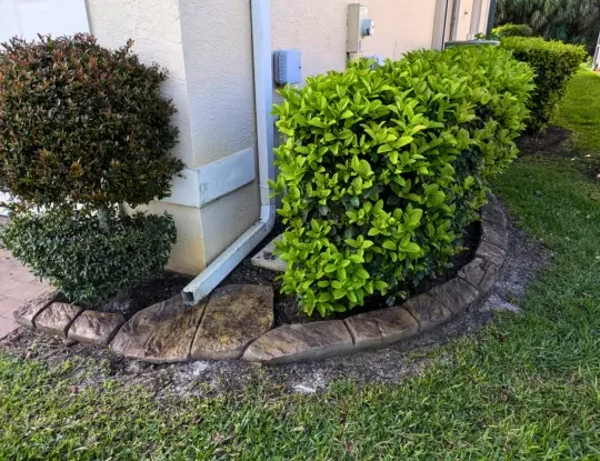 Natural Landscape Concrete Curbing Style