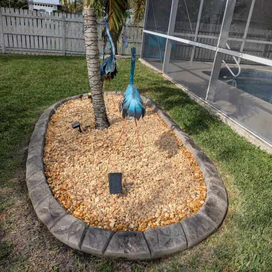 Finished decorative concrete landscape curbing around a palm tree bed