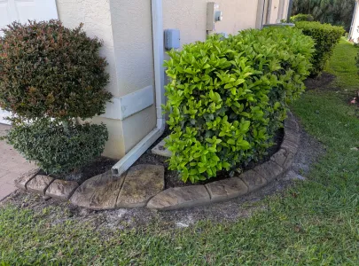 Natural stamped concrete landscape border in a stone pattern framing a backyard mulch garden bed